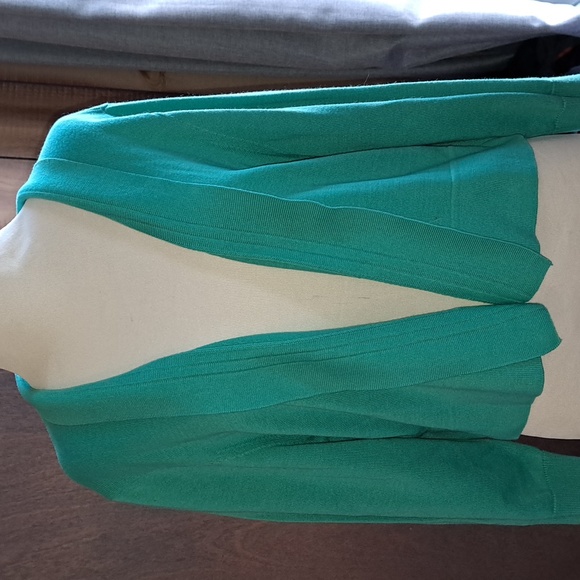 Cropped green sweater,  Black Label by Evan-Picone, size XL - Picture 1 of 5